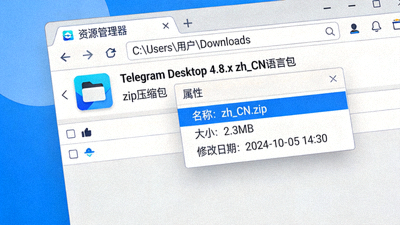 Telegram Desktop 4.8.x 版本中文语言包文件展示