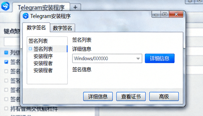 Windows系统下右键查看Telegram安装程序属性中的数字签名选项卡截图