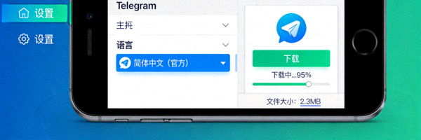 寻找并下载Telegram官方简体中文语言包文件界面展示